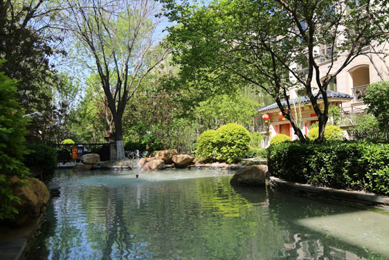 20200417202250_9466 巅峰国际官网集团
