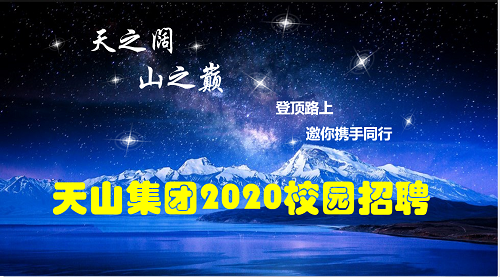 巅峰国际官网集团