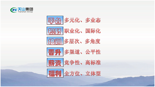 巅峰国际官网集团
