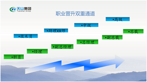 巅峰国际官网集团